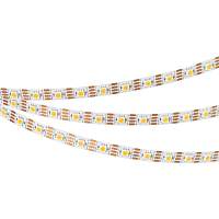 Светодиодная лента SPI-B60-10mm 12V Warm2700-PX1-RAM (9.3 W/m, IP20, 5060, 5m) (Arlight, бегущий огонь) - цена и фото