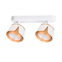 Спот Arte Lamp Amaks A8028PL-2WH - цена и фото