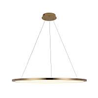 Подвесной светильник Loft IT Ring 10014XL - цена и фото