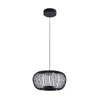 Подвесной светодиодный светильник Arte Lamp Flare A3527SP-12BK - цена и фото