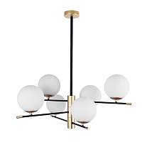 Подвесная люстра Arte Lamp Arkab A2225LM-6BK - цена и фото