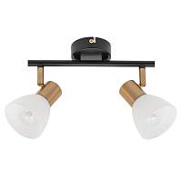 Светильник спот Arte Lamp Falena A3117PL-2BK - цена и фото