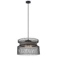 Подвесная люстра Favourite Korb 2363-2P - цена и фото