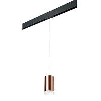 Lightstar Комплект со светильником Rullo для трека PRO Rullo PRORP430430 - цена и фото