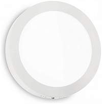 Настенно-потолочный светодиодный светильник Ideal Lux Universal D40 Round 240367 - цена и фото