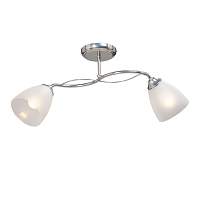 Потолочная люстра Vitaluce V3947-9/2PL - цена и фото