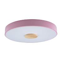 Потолочный светильник Loft IT Axel 10003/24 Pink - цена и фото
