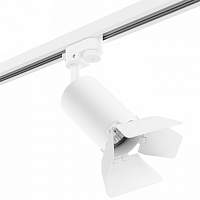 Светильник трековый с однофазным адаптером Lightstar RULLO HP16 R1T436436 - цена и фото