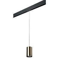 Lightstar Комплект со светильником Rullo для трека PRO Rullo PRORP431 - цена и фото