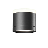 Потолочный светильник Maytoni Technical C120CL-GX53-B - цена и фото