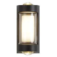 Уличный настенный светодиодный светильник Escada 30006W/01Led - цена и фото