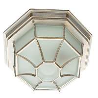 Потолочный светильник уличный Pegasus A3121PF-1WG - цена и фото