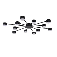 Люстра Lumion COMFI 8344/12C - цена и фото