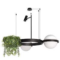 Подвесной светильник LOFT IT Jardin 10121/2 - цена и фото