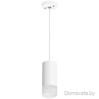 Lightstar Комплект со светильником Rullo RP43631 - цена и фото