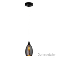 Подвесной светильник Arte Lamp Barry A7951SP-1BK - цена и фото