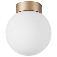 Плафон потолочный Lightstar Globo 812013 - цена и фото