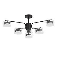 Люстра Lumion NATALINA 8349/6C - цена и фото