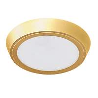 Светильник накладной заливающего света со встроенными светодиодами Urbano Lightstar 216934 - цена и фото