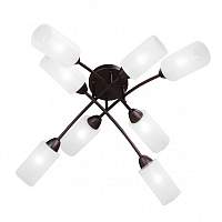 Потолочная люстра Vitaluce V4188-7/8PL - цена и фото