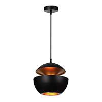 Подвесной светильник Loft IT Apple LOFT2212-B - цена и фото