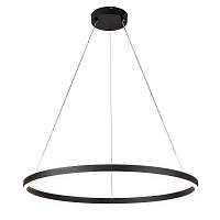 Подвесная люстра Galass V000036L 14001/1P Black - цена и фото