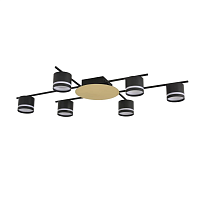 Светильник потолочный Lumion BENUA 8304/6C - цена и фото