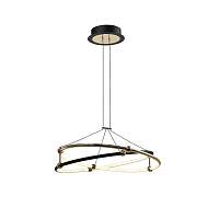 Люстра подвесная светодиодная Aployt Diana APL.034.03.40 - цена и фото