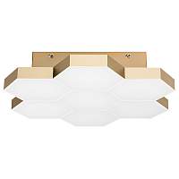 Светильник потолочный Lightstar Favo 750071 - цена и фото