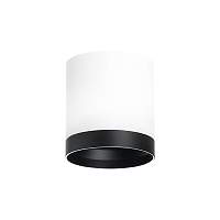 Lightstar Комплект со светильником Rullo R34863487 - цена и фото