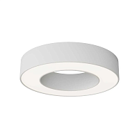 Потолочный светильник Maytoni Technical C093CL-24W4K-W - цена и фото