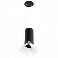 Подвесной светильник Lightstar RULLO HP16 RP487436 - цена и фото