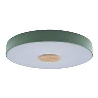 Потолочный светильник Loft IT Axel 10003/24 Green - цена и фото