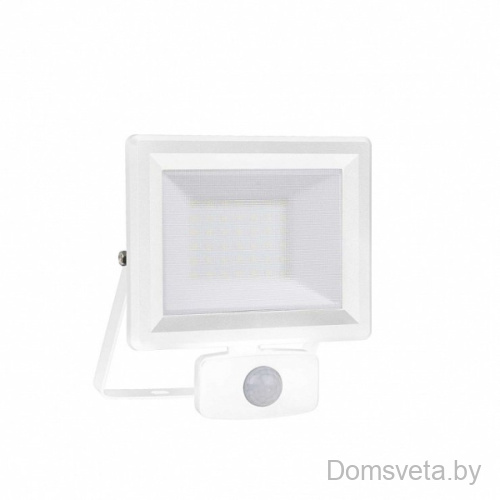 Прожектор Ideal Lux FLOOD AP SENSOR 30W WH 251028 - цена и фото