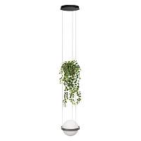 Подвесной светодиодный светильник Loft IT Jardin 10121/1P Dark grey - цена и фото