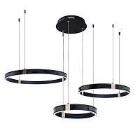 Подвесной светодиодный светильник Arte Lamp Shine A2222SP-3BK - цена и фото