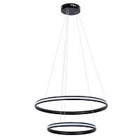 Подвесная люстра Arte Lamp MERIDIANA A2198SP-2BK - цена и фото