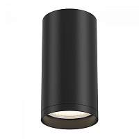 Накладной светильник Maytoni FOCUS C052CL-01B - цена и фото