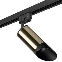 Lightstar Комплект со светильником Rullo R1T43137 - цена и фото