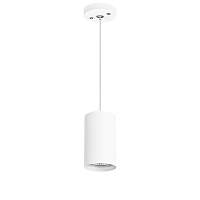 Светильник подвесной Lightstar Rullo RP436 - цена и фото