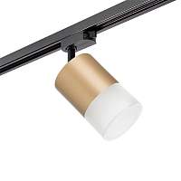 Lightstar Комплект со светильником Rullo R1T349081 - цена и фото