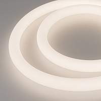 Светодиодная лента герметичная MOONLIGHT-TOP-A336-D25mm 24V Day4000 360deg (14.4 W/m, IP65, 2835, 5m, wire x2) (Arlight, Прямой вывод кабеля) - цена и фото