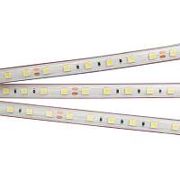 Светодиодная лента герметичная RTW-PS-B60-12mm 24V Day4000 (14.4 W/m, IP67, 5060, 5m) Arlight - цена и фото