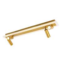 Спот потолочный Arte Lamp A2607PL-30GO TOMMY светодиодный 4xLED 30W - цена и фото