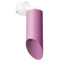 Настенно-потолочный светильник Rullo Lightstar Rullo RB43232 - цена и фото