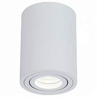 Потолочный светильник Maytoni Alfa C016CL-01W - цена и фото