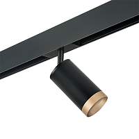 Lightstar Комплект со светильником Rullo для трека PRO Rullo PRO43740 - цена и фото