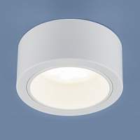 Накладной потолочный светильник Elektrostandart 1070 GX53 WH белый - цена и фото