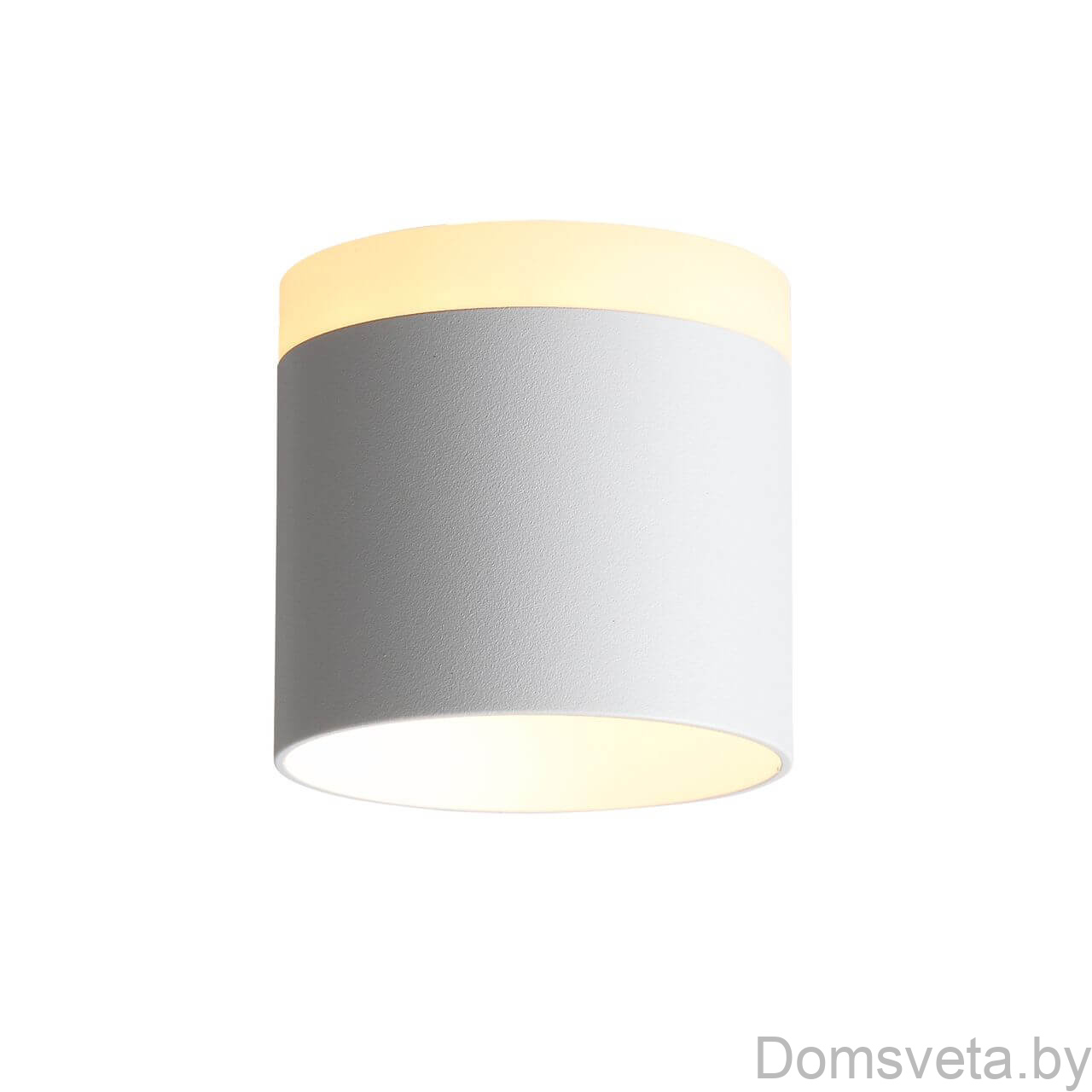 Потолочный светодиодный светильник ST Luce Panaggio ST102.502.09 - цена и фото