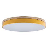 Потолочный светильник Loft IT Axel 10001/36 Yellow - цена и фото